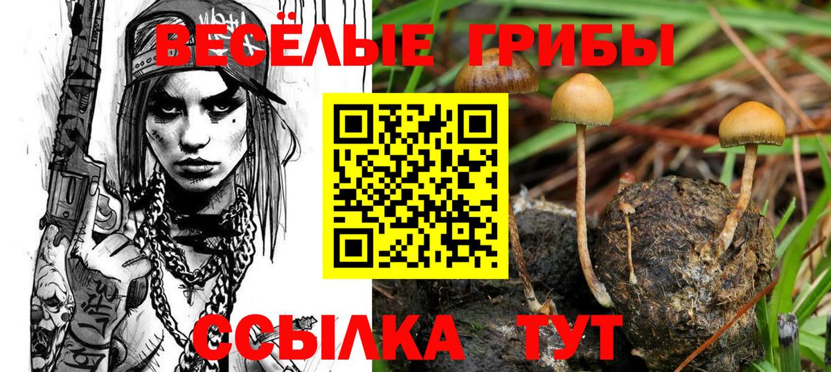 Псилоцибиновые грибы Psilocybine cubensis  Вход с VPN  Шуя  где продают   Галлюциногенные грибы GOLDEN TEACHER 