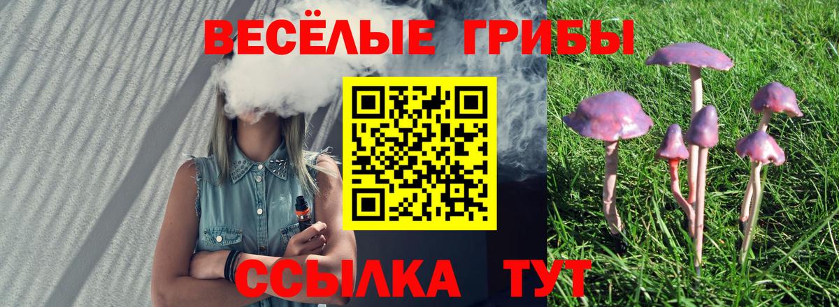 Псилоцибиновые грибы Magic Shrooms Шуя