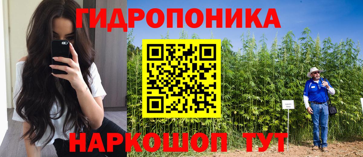 Шуя  Бошки Шишки LSD WEED  Каннабис VHQ  Канабис Bruce Banner  Канабис конопля  Вход с VPN 